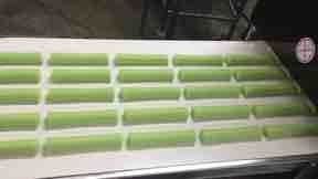 500kgs/Hour Delta PLC Control Double Line Bread Production Line