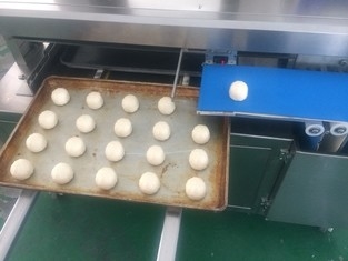 Panasonic-Sensor Kaya Bun Bread Production Line 380V automatisch