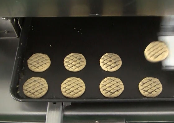Ei-Malerei-Maschine HONGXIN 1000w für Ananaskuchen